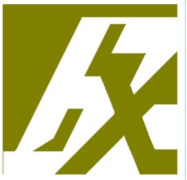 FlexibleX Logo
